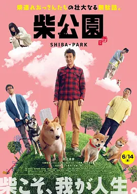 在线免费公开视频