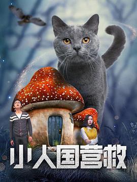 婷婷99视频精品全部在线观看