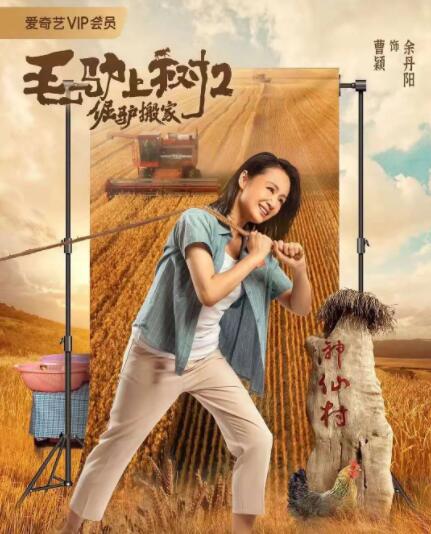 成人手机在线观看
