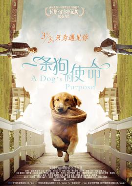 精品中文字幕一区二区三区