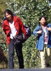 久草综合视频