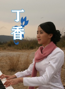 一区二区不卡