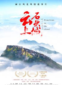 综合在线播放