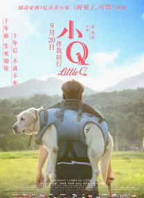 一区二区三区视频在线观看